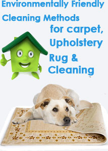 Upholstery Stain Removal